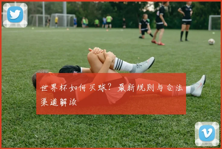 世界杯如何买球？最新规则与合法渠道解读