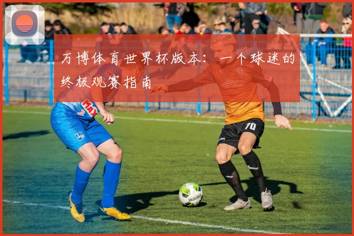 万博体育世界杯版本：一个球迷的终极观赛指南