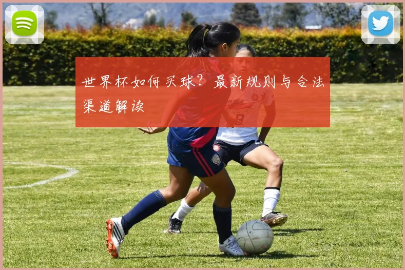 世界杯如何买球？最新规则与合法渠道解读