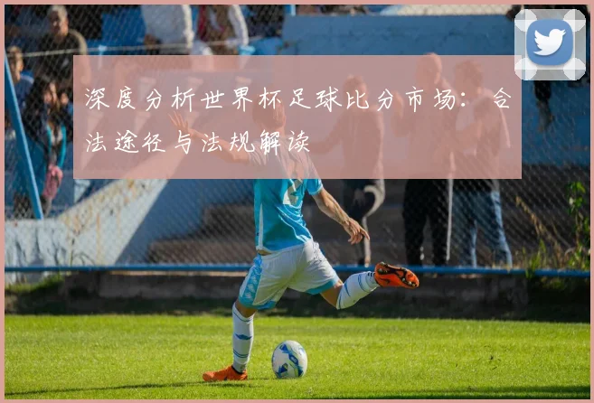 深度分析世界杯足球比分市场：合法途径与法规解读