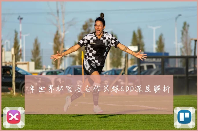 年世界杯官方合作买球app深度解析