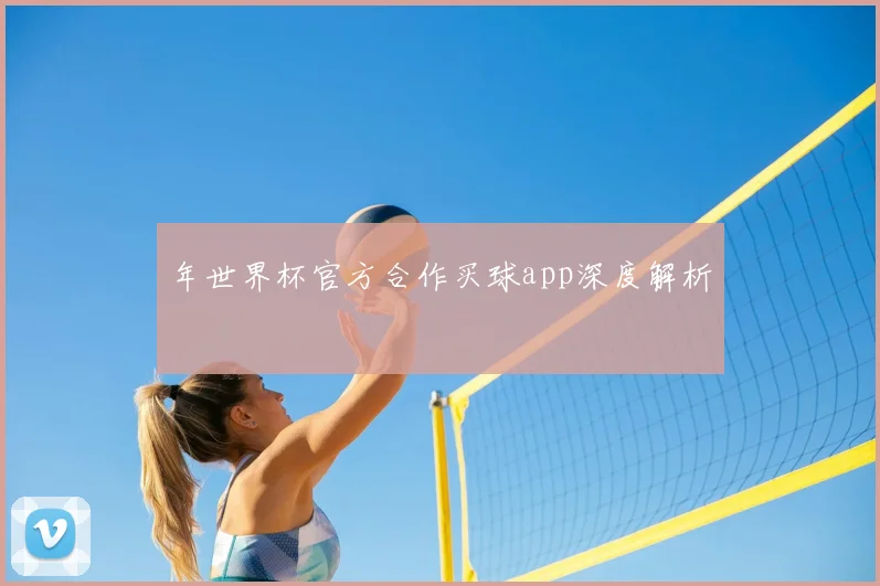 年世界杯官方合作买球app深度解析