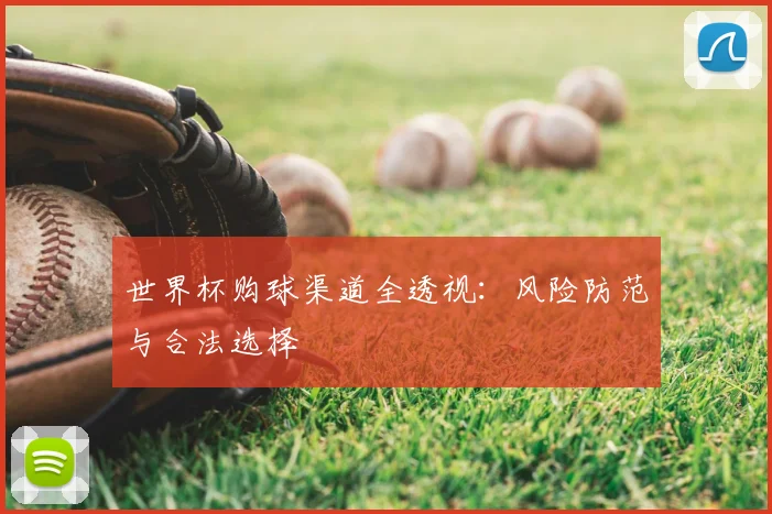 世界杯购球渠道全透视：风险防范与合法选择