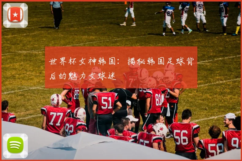 世界杯女神韩国：揭秘韩国足球背后的魅力女球迷