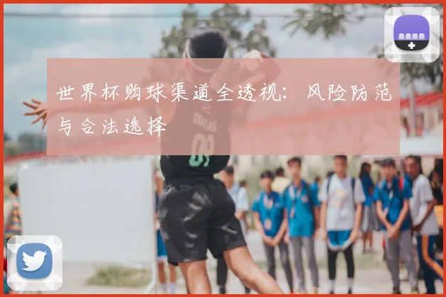 世界杯购球渠道全透视：风险防范与合法选择
